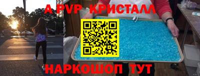 молекула духа Будённовск