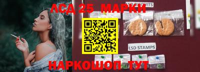 молекула духа Будённовск