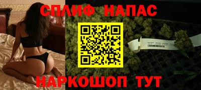 молекула духа Будённовск