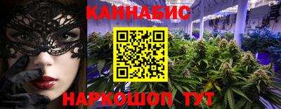 молекула духа Будённовск