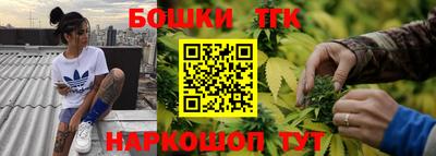 молекула духа Будённовск