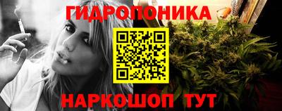 молекула духа Будённовск