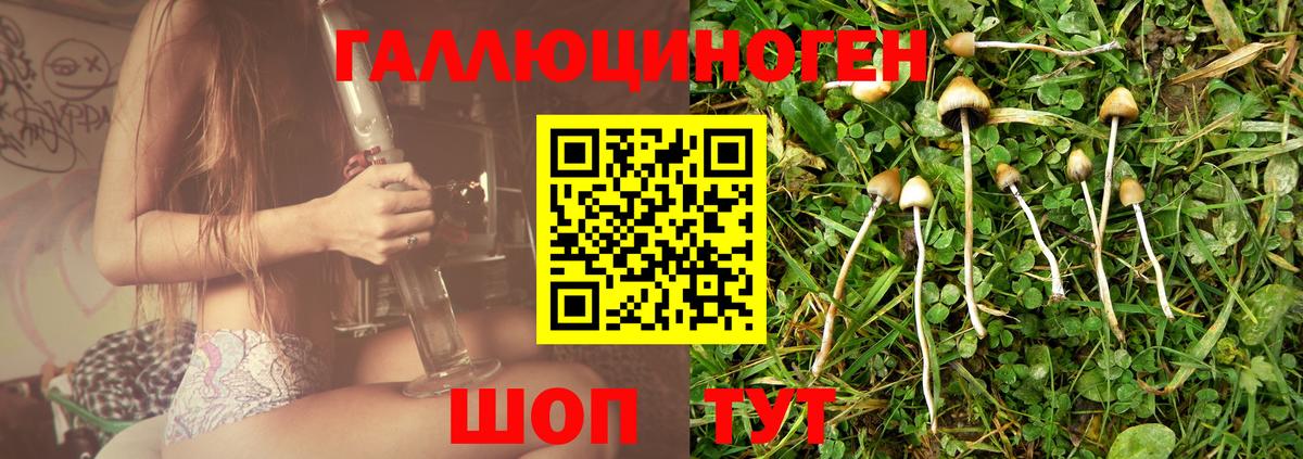 Псилоцибиновые грибы MAGIC MUSHROOMS Майский